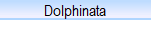 Dolphinata